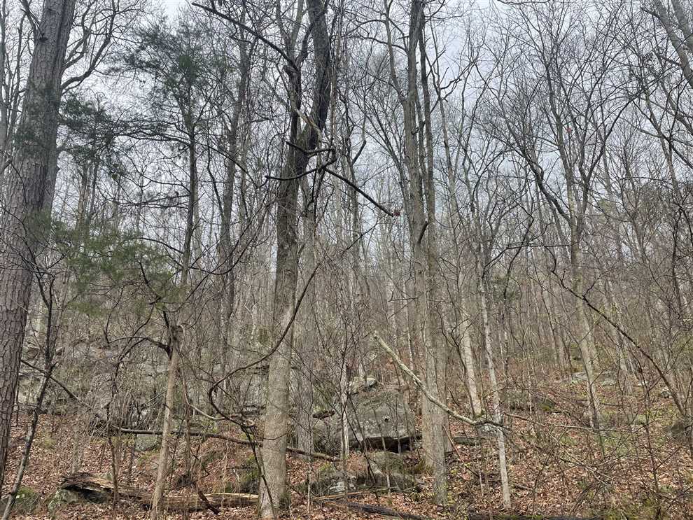 Land for sale at Schenault Hollow Road