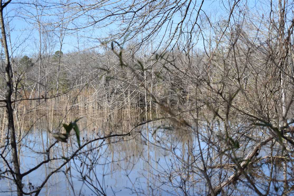 Houses and land for sale in Arkansas