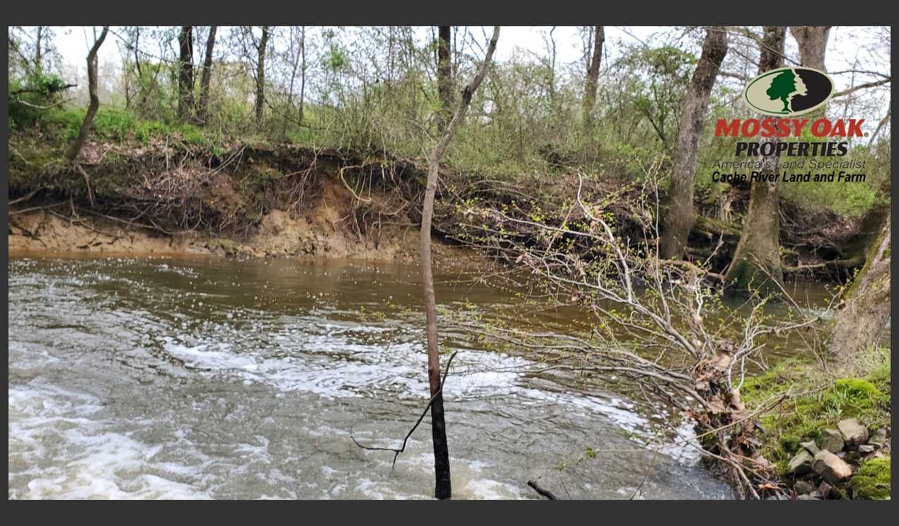 130 Acres of Recreational land for sale in McRae, white County, Arkansas