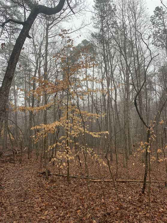 davidson County, North Carolina property for sale