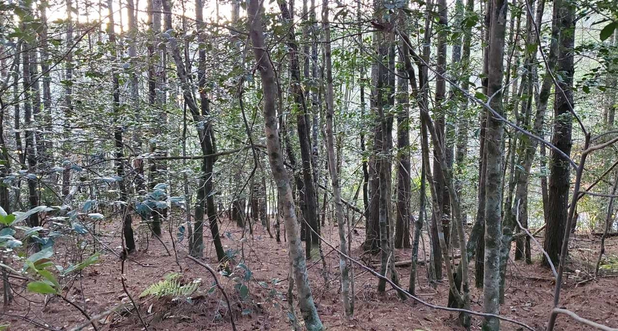 property for sale on The Land Market