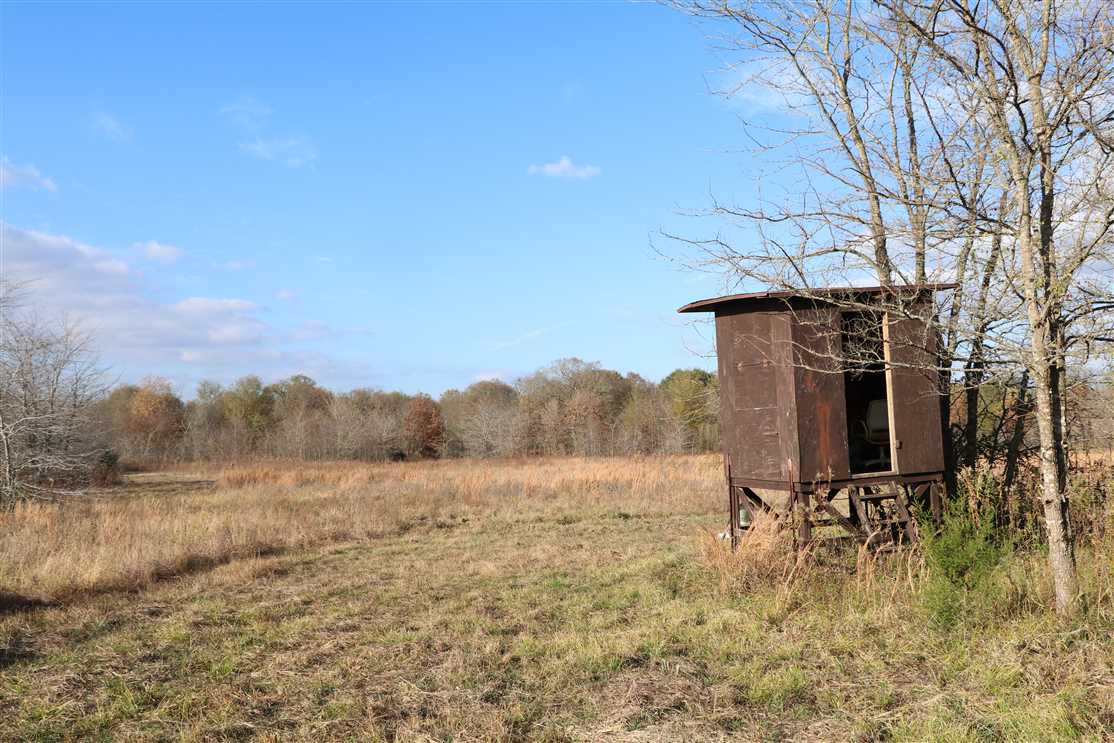 Property for sale at COUNTY ROAD 3528, SALTILLO, TX, 75478