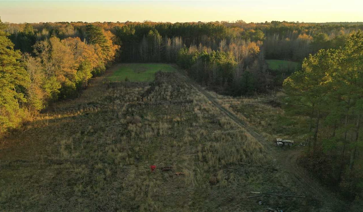 40 Acres of Residential land for sale in Starkville, oktibbeha County, Mississippi