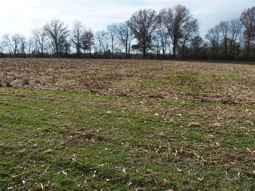 10 Acres - Hamilton County - Zoned Commercial -Visible from I69 Real estate listing