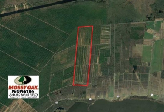 564 Acres of Land for Sale in hyde County North Carolina