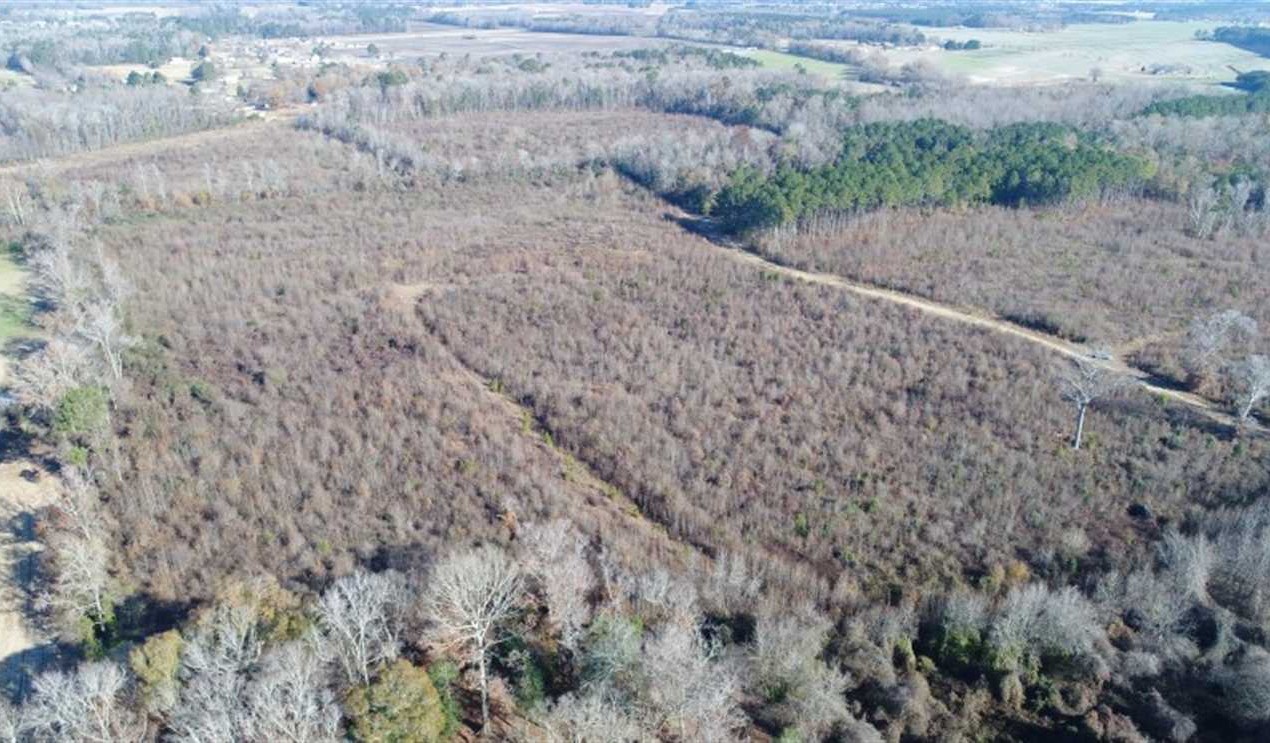 Greenville land available for purchase