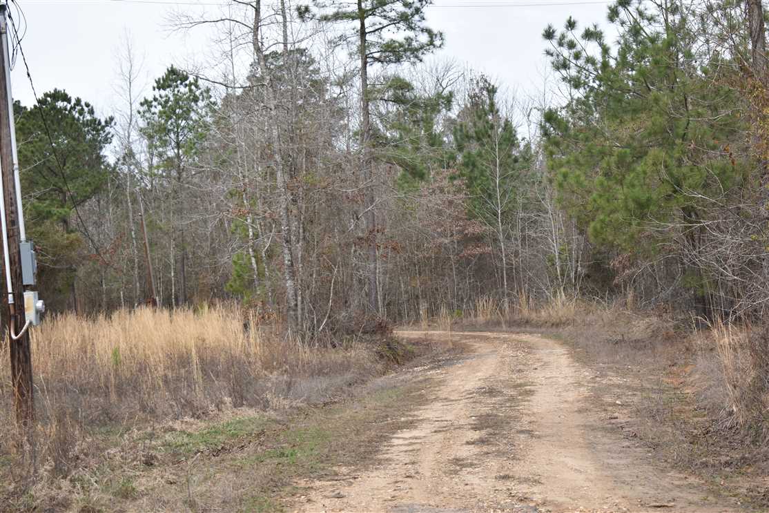 50 Acres of Residential land for sale in Rosston, nevada County, Arkansas