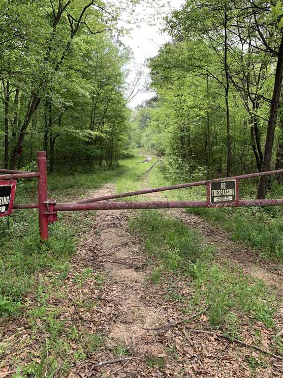 Land for sale to buy in 71854 zip code