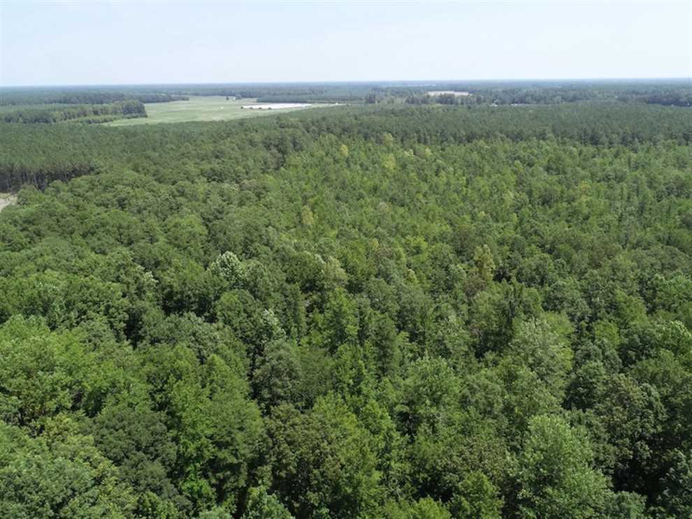 Residential and   property for sale on The Land Market