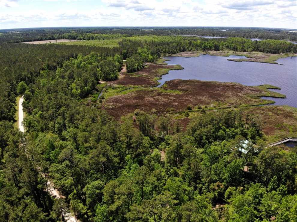 5.6 Acres of Land for sale in pamlico County, North Carolina