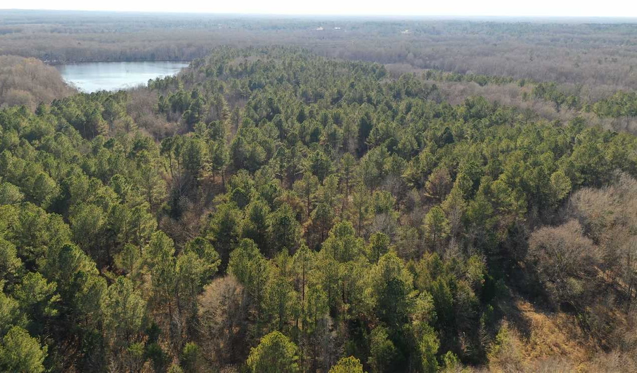 clay County, Mississippi property for sale