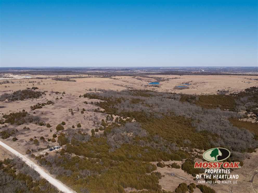 Timberland real estate available to buy