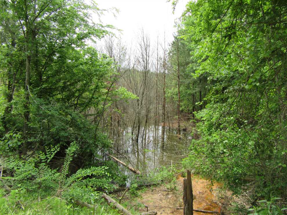 hempstead County, Arkansas property for sale
