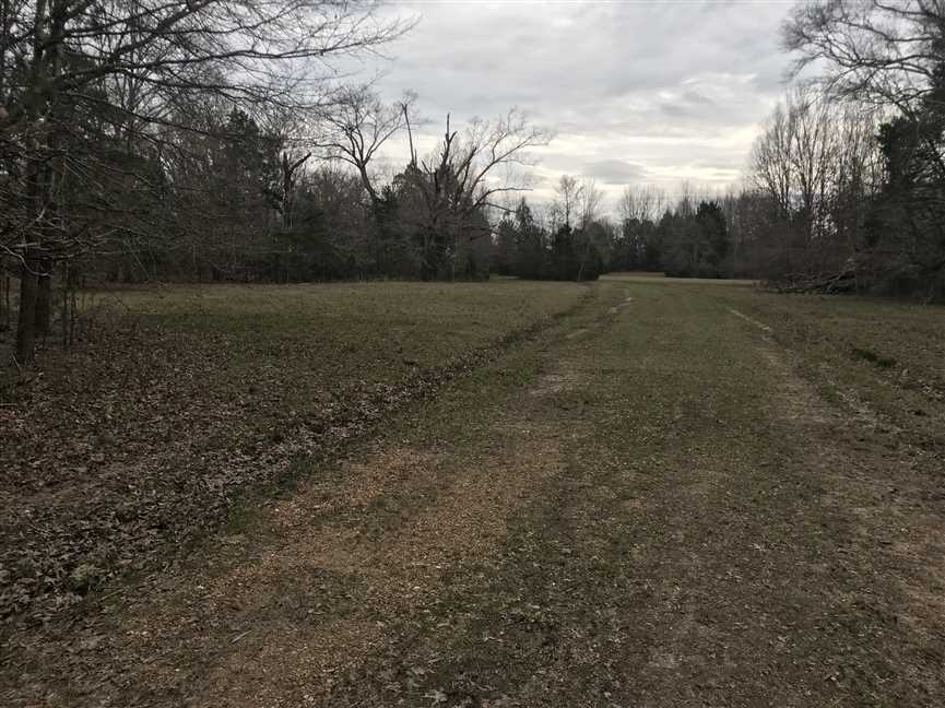 Land for sale to buy in 39773 zip code