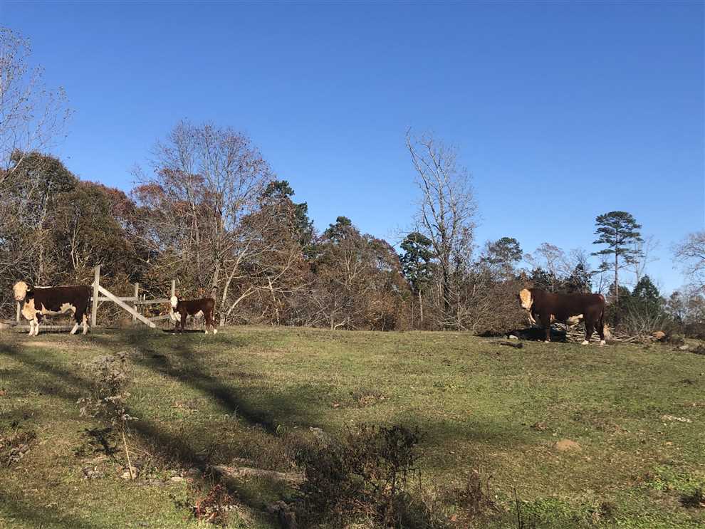 Property for sale at 2104 Estes Mills Road