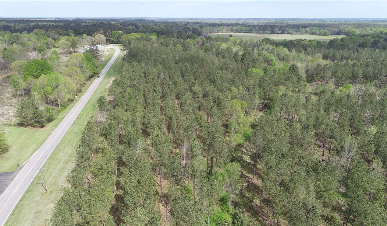 Land for sale to buy in 38855 zip code