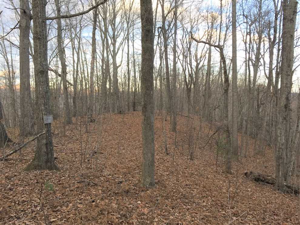 Residential and   property for sale on The Land Market