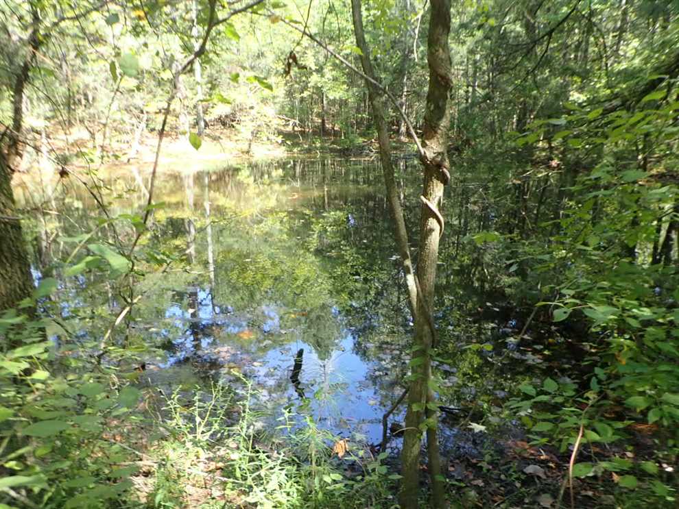 Land for sale at Harris Road