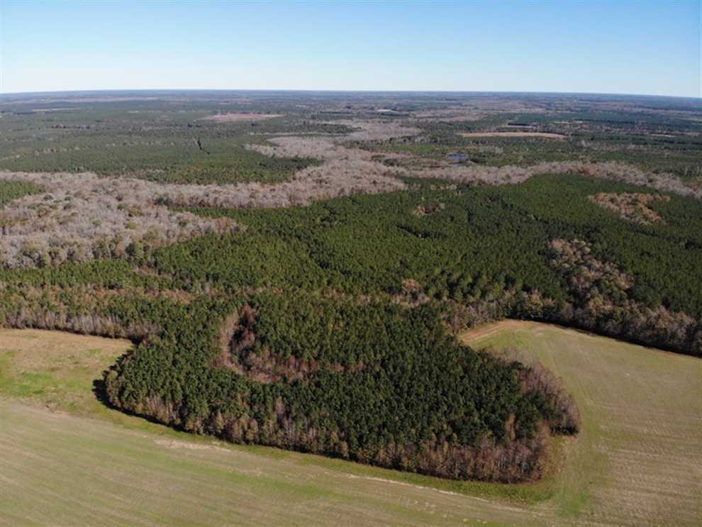 Land for sale to buy in 23897 zip code