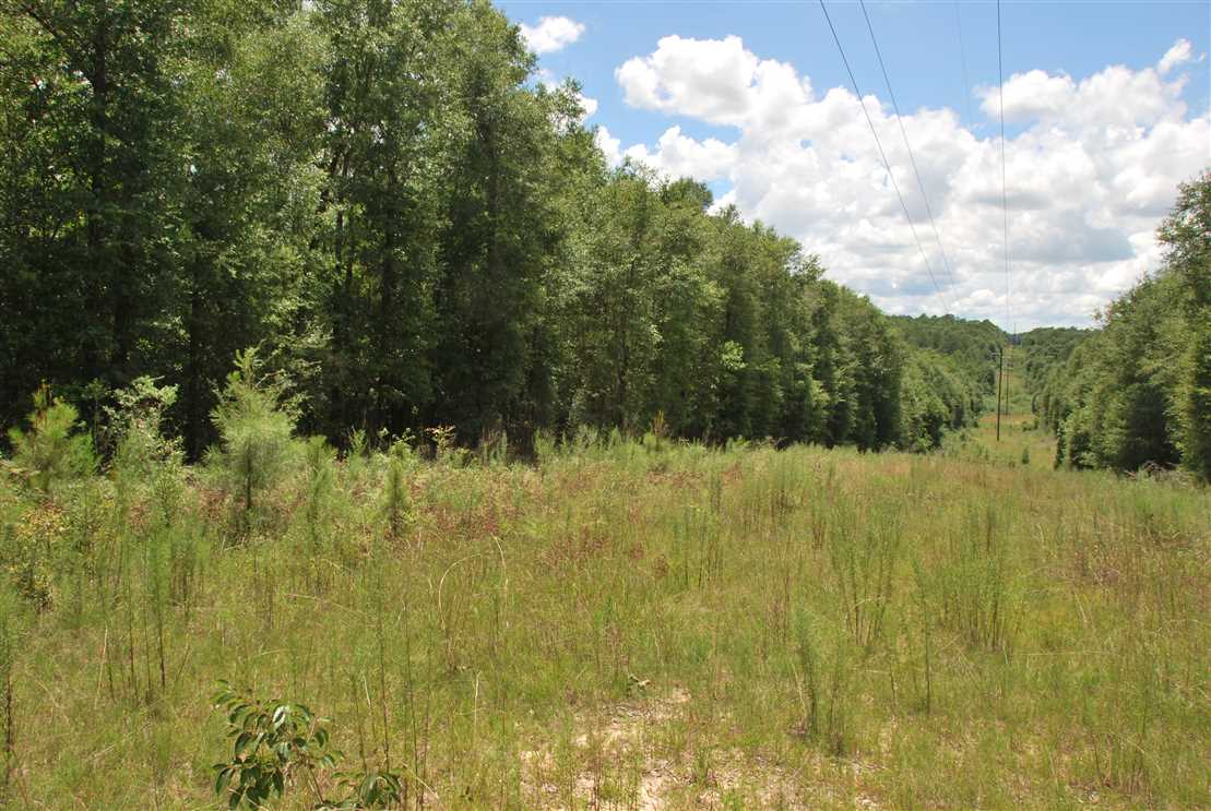 Land for sale to buy in 36331 zip code