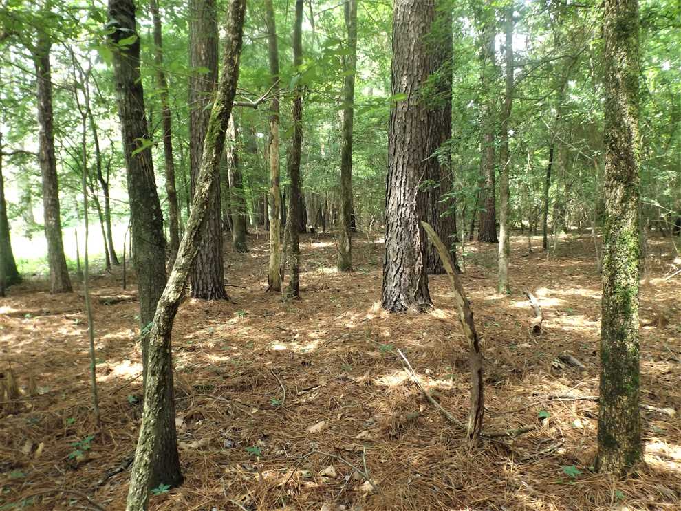 Land for sale at