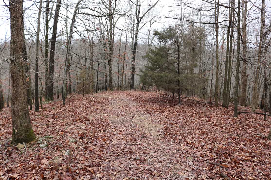 Land for sale to buy in 72758 zip code
