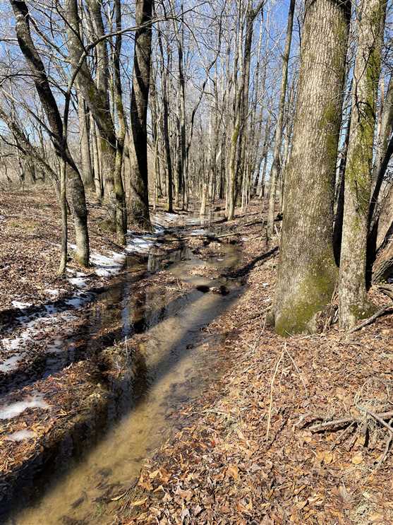 130 Acres of Land for sale in union County, Mississippi