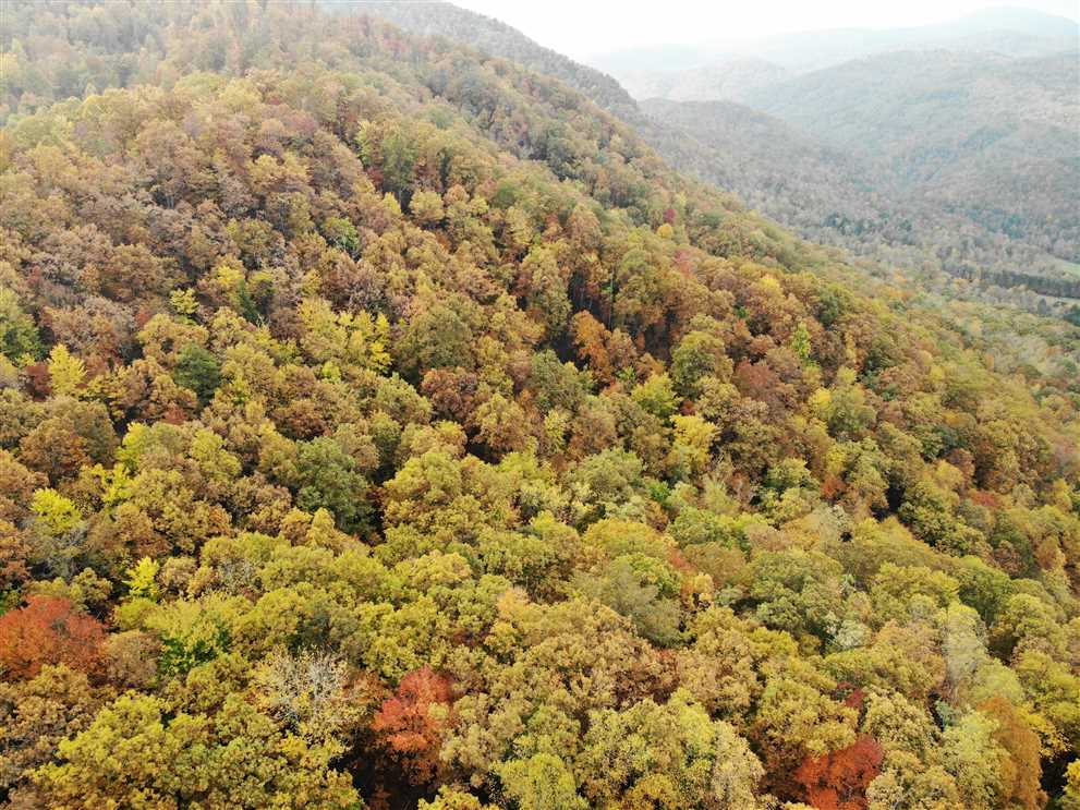 20.32 Acres of Residential land for sale in Black Mountain, buncombe County, North Carolina