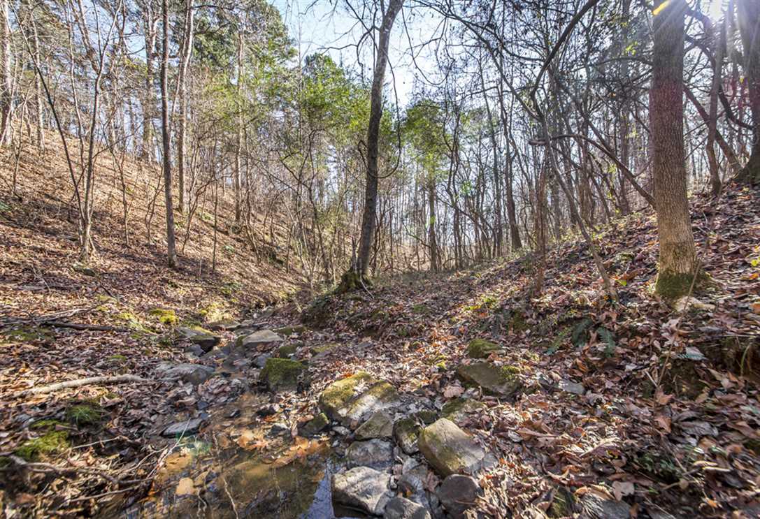 van buren County, Arkansas property for sale