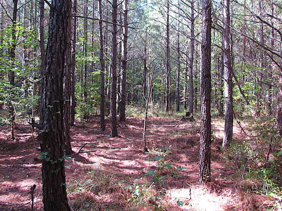 3 Acres of Residential land for sale in Ivor, southampton County, Virginia