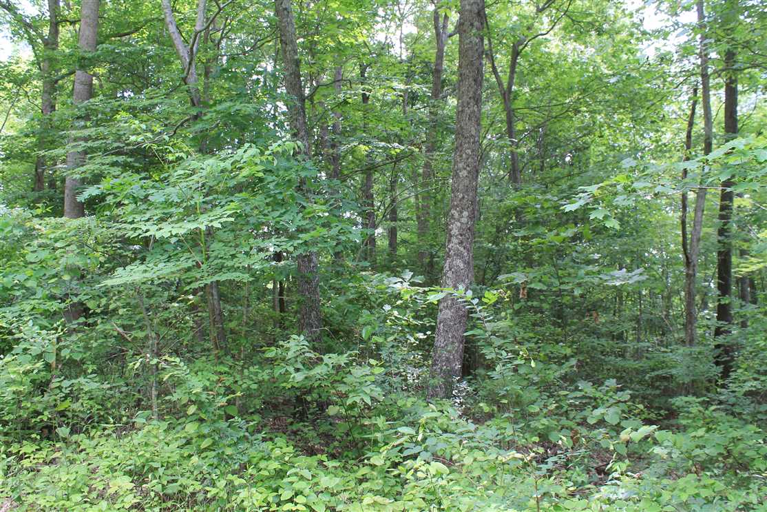 104.22 Acres of Recreational land for sale in Whitleyville, jackson County, Tennessee