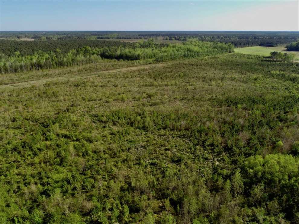 Land for sale to buy in 27937 zip code
