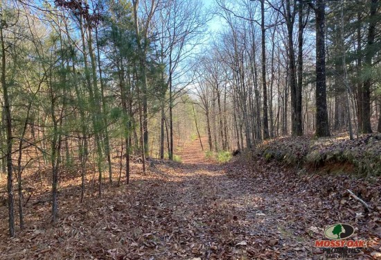 169 Acres of Land for Sale in calloway County Kentucky
