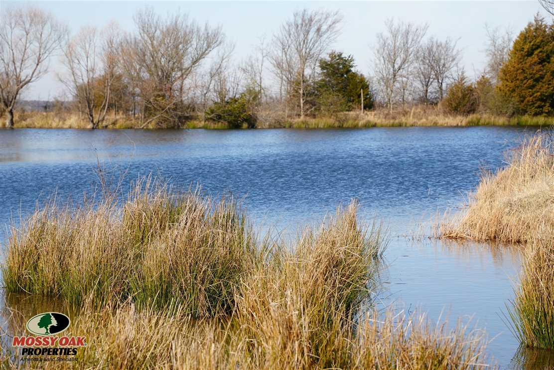 Property for sale at