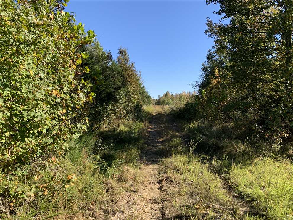 77 Acres of Land for sale in white County, Arkansas
