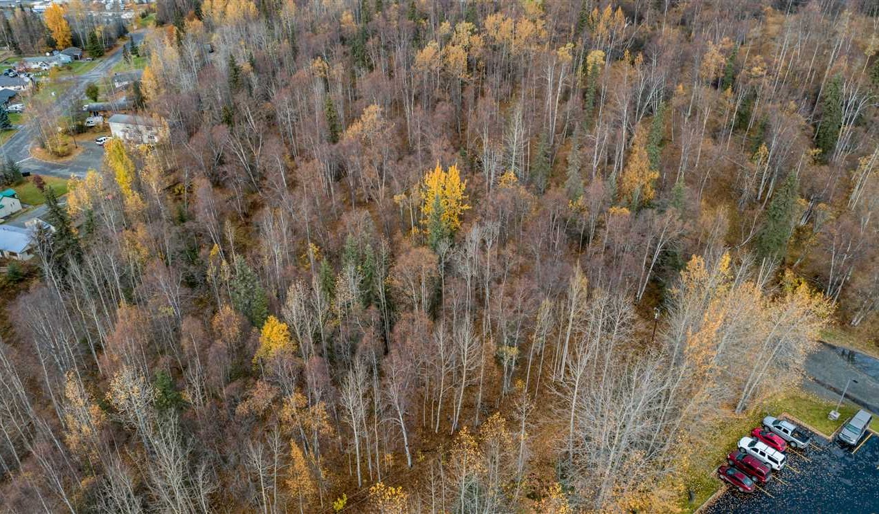 22.29 Commercial Acres in the Heart of Soldotna Real estate listing