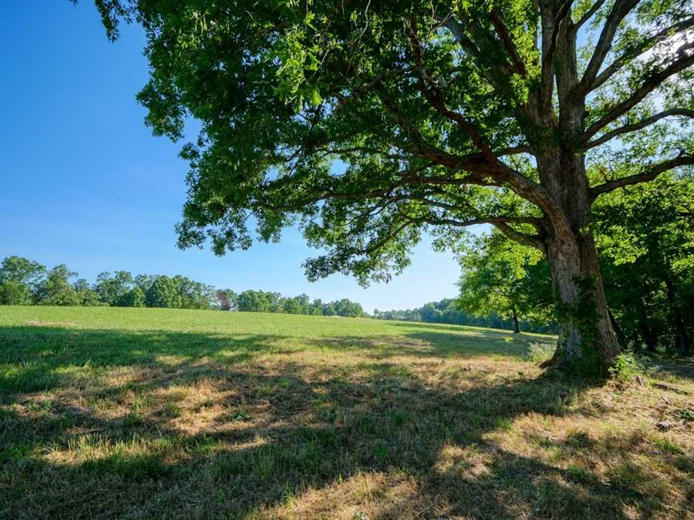 Residential and   property for sale on The Land Market