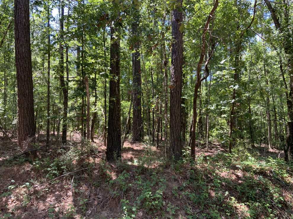 Land for sale to buy in 71467 zip code