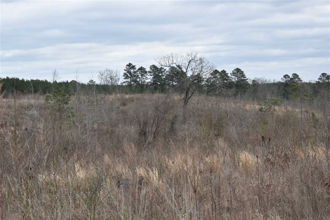 hempstead County, Arkansas property for sale