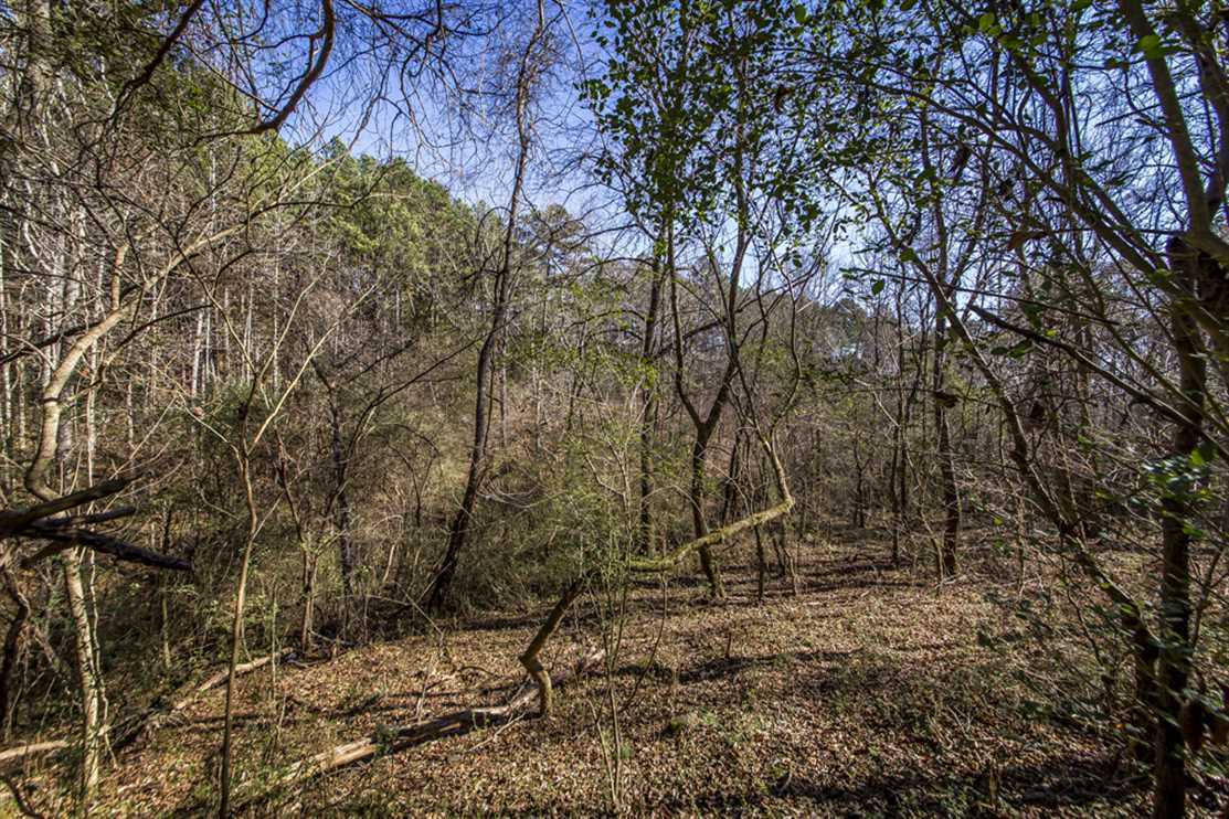 3.06 Acres of Residential land for sale in Clinton, van buren County, Arkansas