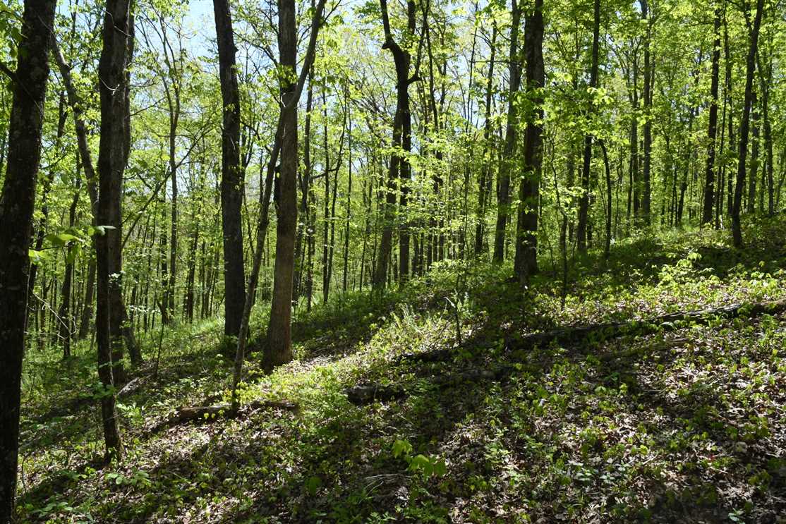 Land for sale to buy in 72031 zip code