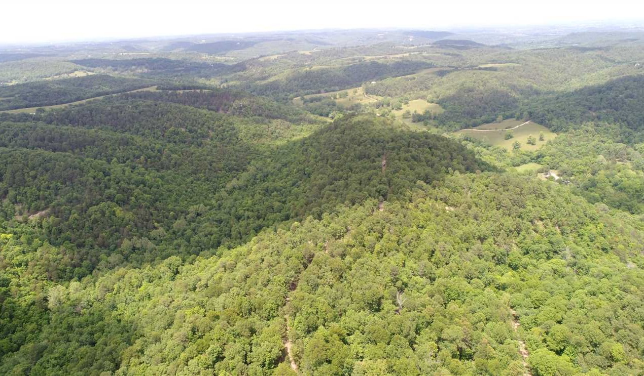 78 Acres of Land for Sale in carroll County Arkansas