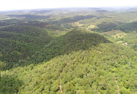 78 Acres of Land for Sale in carroll County Arkansas