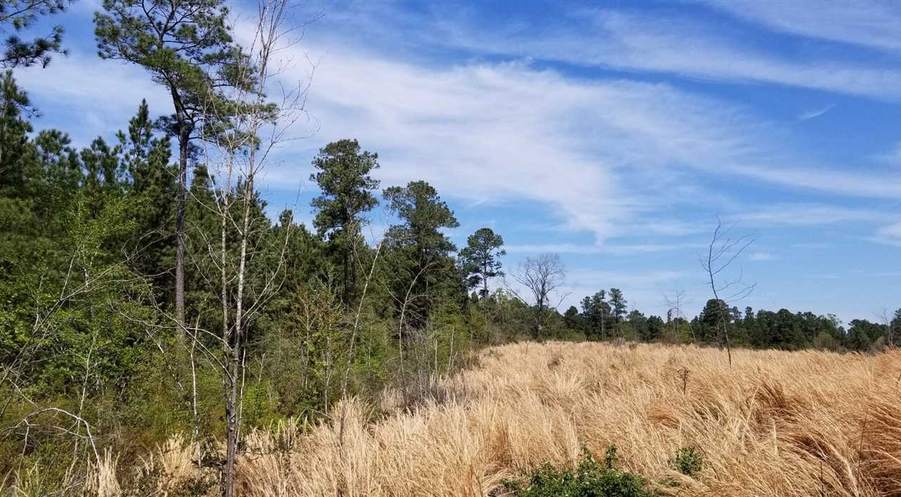 property for sale on The Land Market
