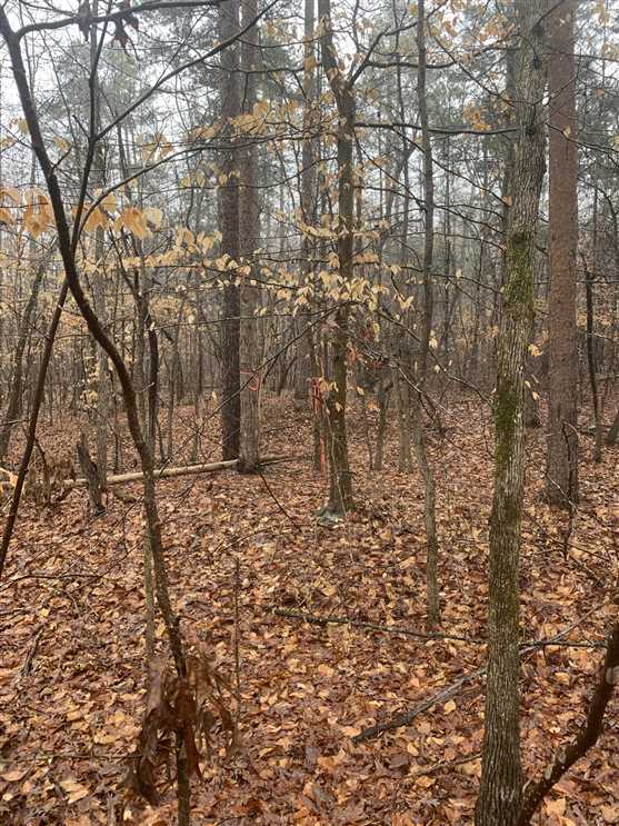 24+/- Acres in Denton, Davidson County Real estate listing