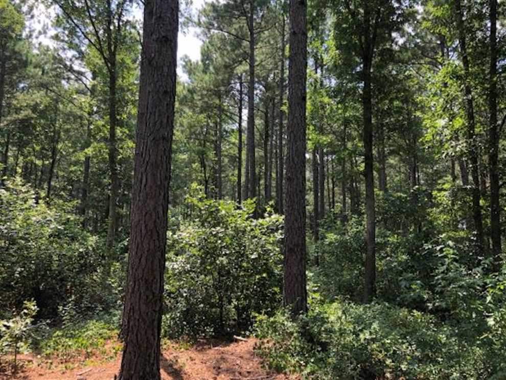 Recreational and   property for sale on The Land Market