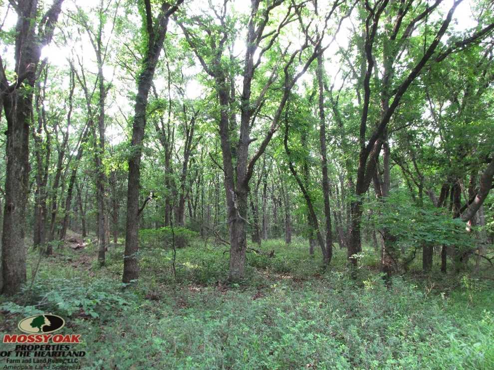Residential and   property for sale on The Land Market