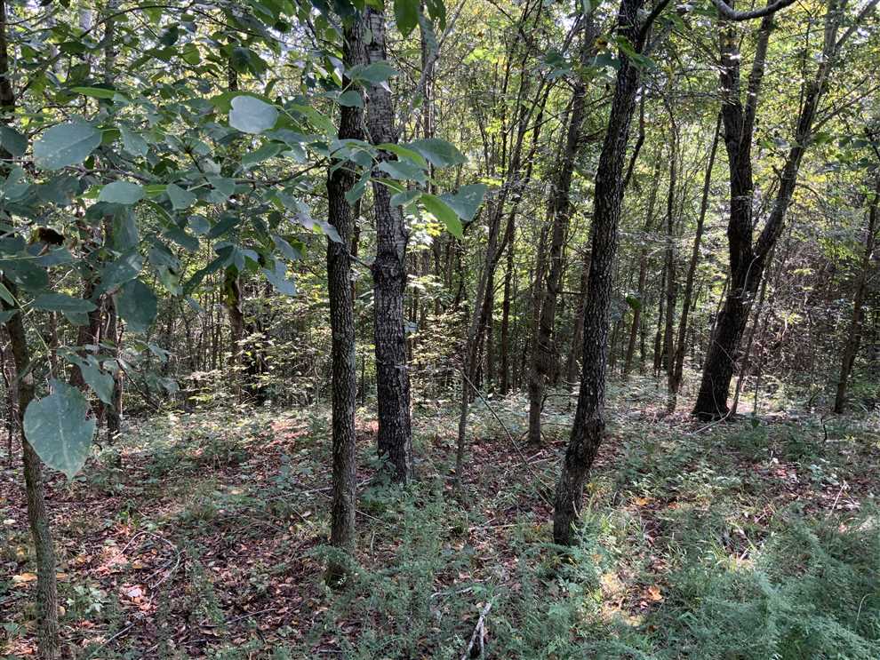 12.52 Acres of Land for sale in humphreys County, Tennessee