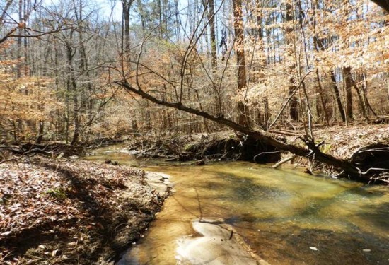 34 Acres of Land for Sale in winston County Alabama