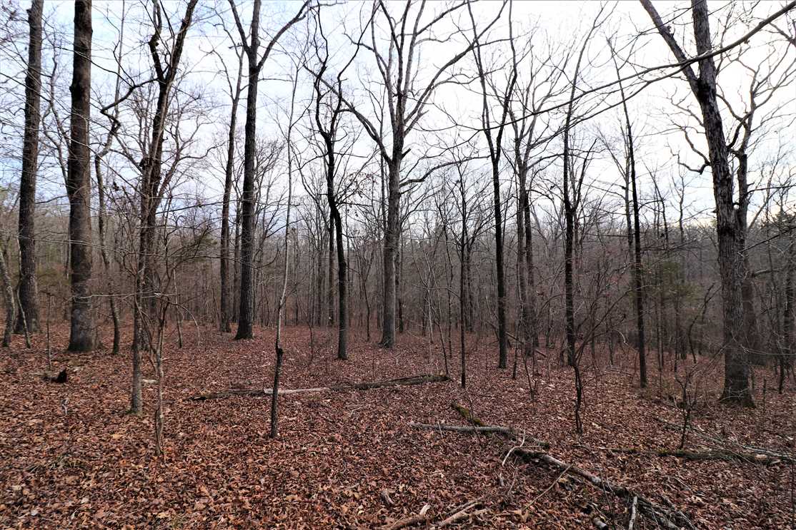 Land for sale at 00 Canton Drive `